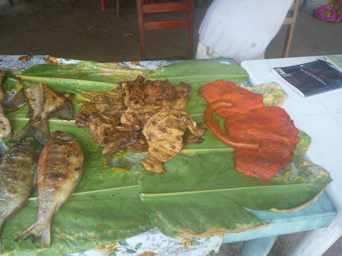Hospedaje Las Amazonas Iquitos Bagian luar foto