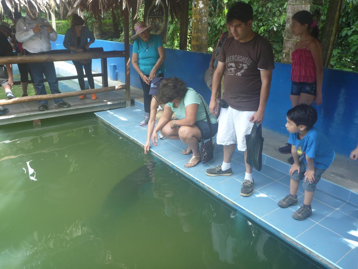 Hospedaje Las Amazonas Iquitos Bagian luar foto
