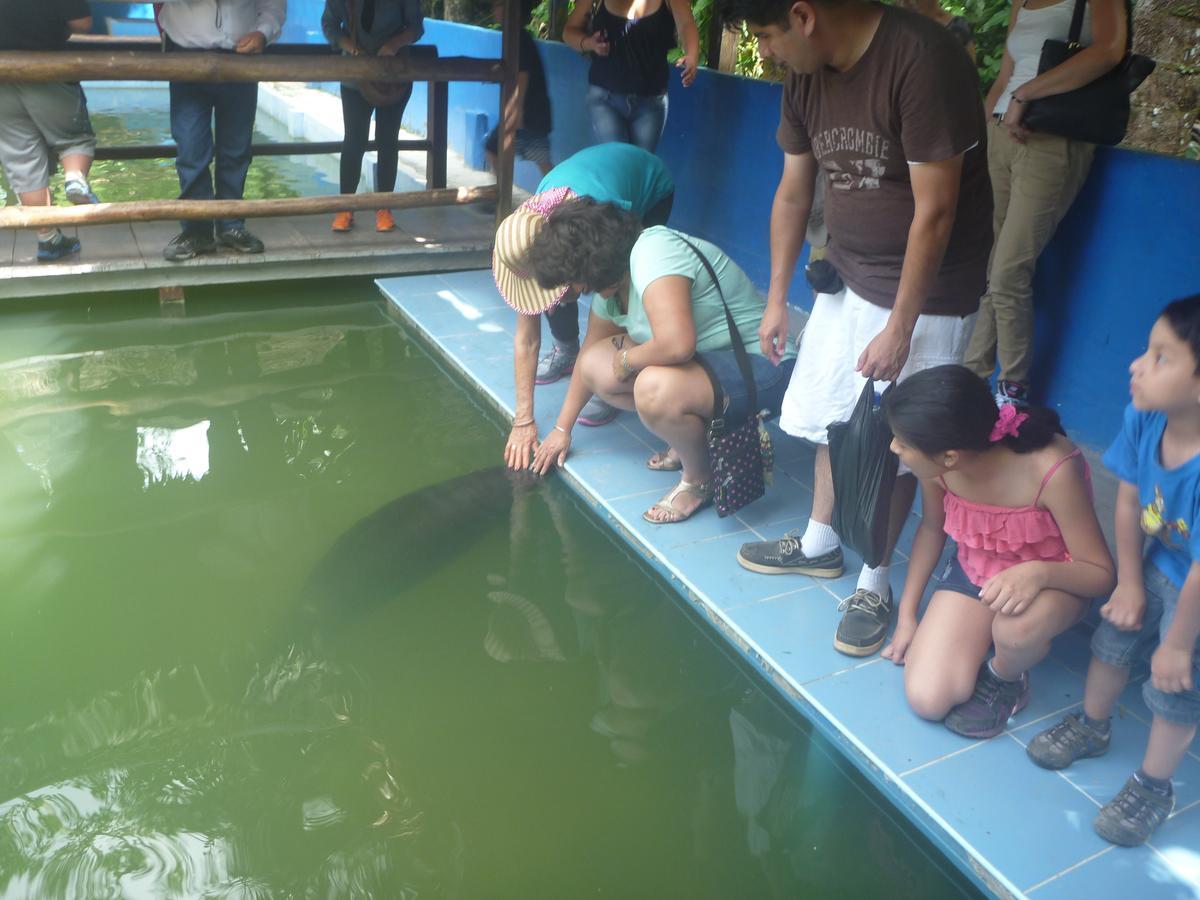 Hospedaje Las Amazonas Iquitos Bagian luar foto