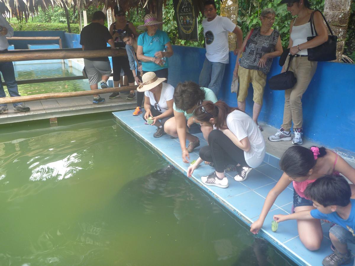 Hospedaje Las Amazonas Iquitos Bagian luar foto