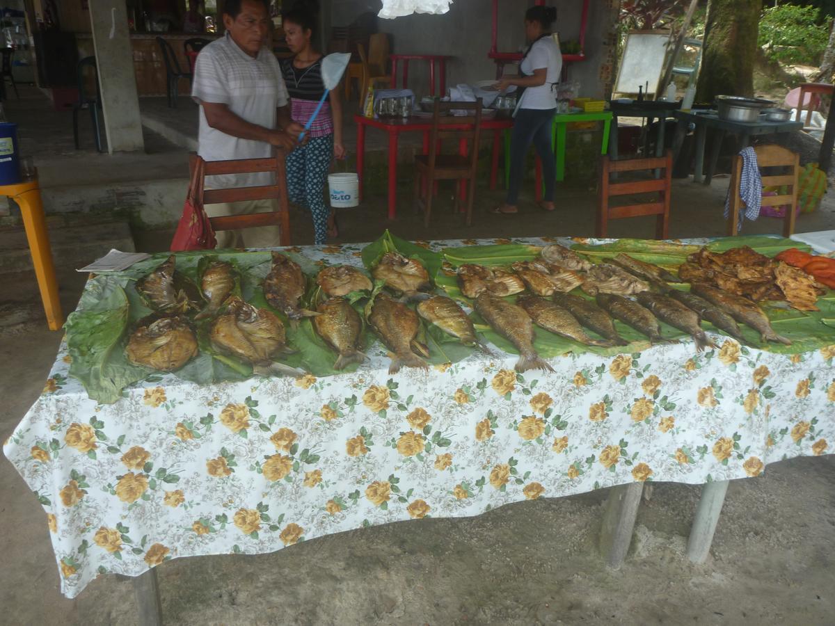 Hospedaje Las Amazonas Iquitos Bagian luar foto